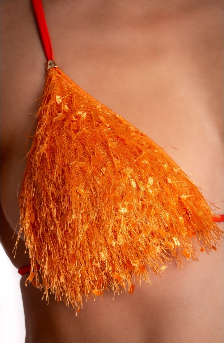PLUMAGE PADDED TRIANGLE BIKINI