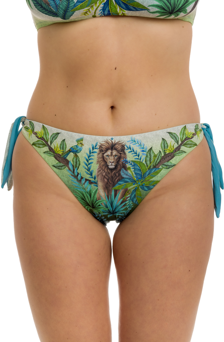 Lion King Curvy Bikini Briefs