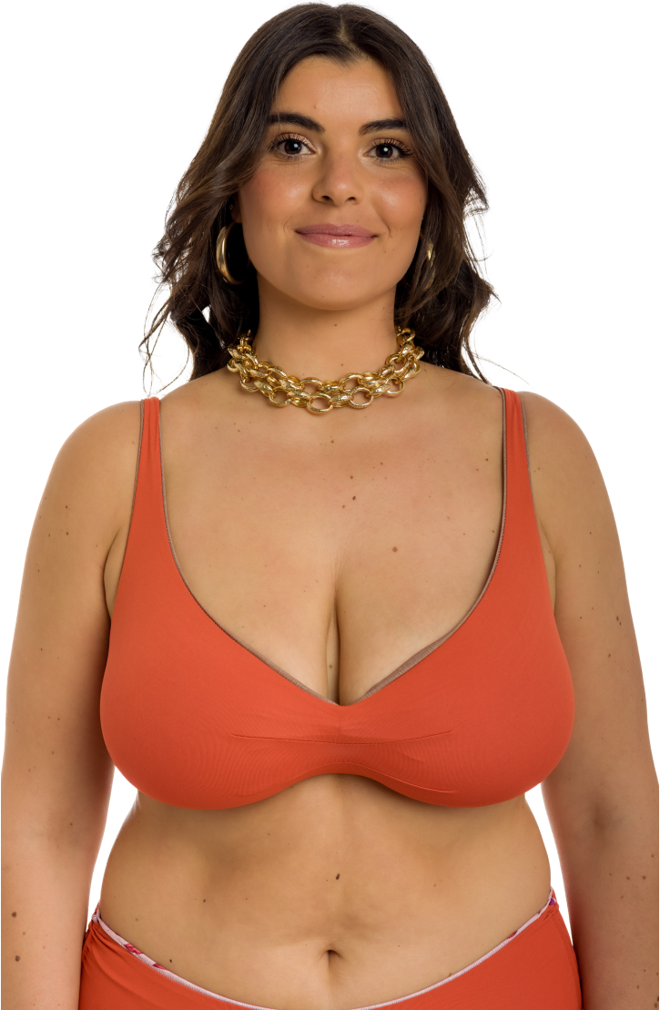 Top Bikini Brassiere Lion King Double Face Curvy