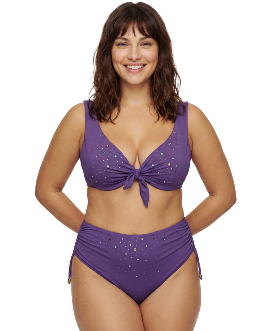 Curvy Rhinestone Rain High Bikini Briefs