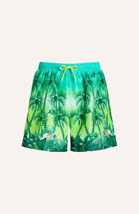 Boxer Uomo Palm Paradise Pin-Up Stars - 5