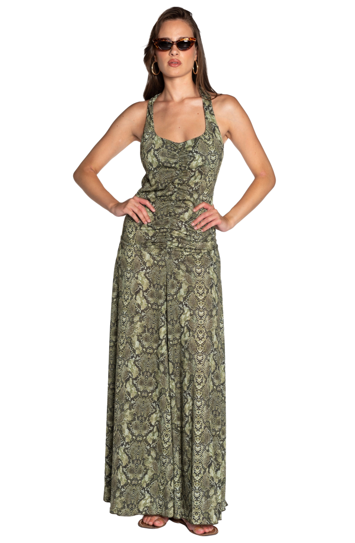 Long Dress Anaconda Back Neckline